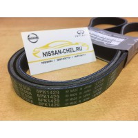 Ремень 6PK1429 QR25DE T32